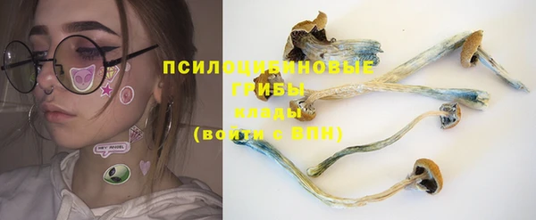 стаф Верхний Тагил